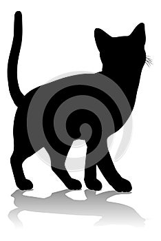 Silhouette Cat Pet Animal