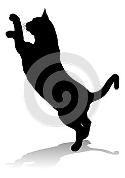 Silhouette Cat Pet Animal