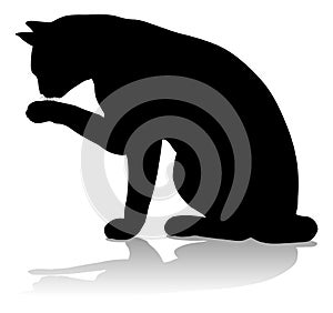 Silhouette Cat Pet Animal photo