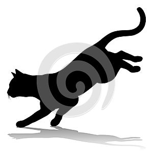 Silhouette Cat Pet Animal photo