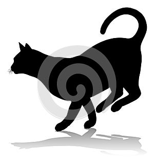 Silhouette Cat Pet Animal photo