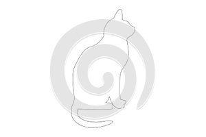 Silhouette of cat on white background