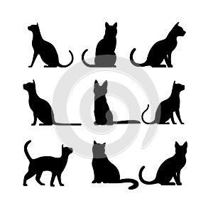 Silhouette of a cat on a white background