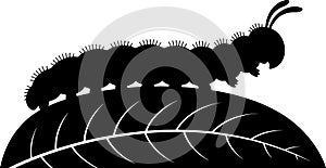 Silhouette of a Caterpillar Crawling on a Leaf
