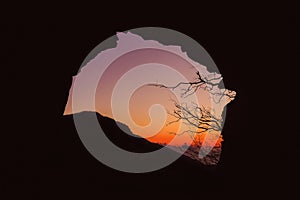 Silhouette of a cave with bare trees during sunset