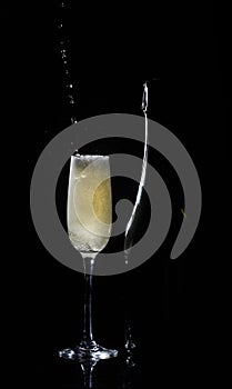 Silhouette champagne. Champagne pouring into glass on black background