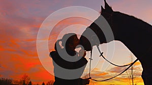 SILHOUETTE: Cheerful young woman kisses the muscular stallion on the snout.