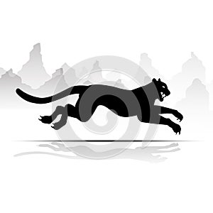 Silhouette Cheetah, Panther, design using black line square, graphic .