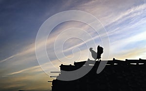 Silhouette of a chicken standing on the roof