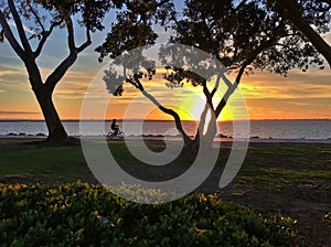 Silhouette of a child riding a bicycle at sunset at bayside park photo