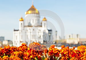 Silhouette of Christ the Savior Cathedral, Moscow, Russia