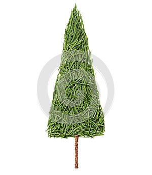 Silhouette of Christmas fir tree made of pine needles on a white background