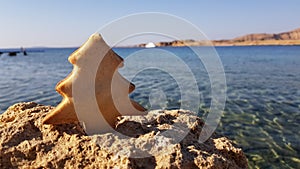 the silhouette of a Christmas tree on the background of the beach of the sea . winter holidays at sea