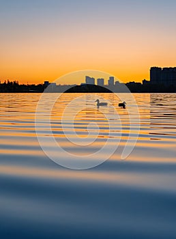 Silhouette cities at sunrise or sunset.