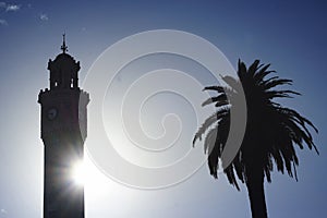 Silhouette of clock tower and palm tree in Izmir - sun and clear blue sky in contrast