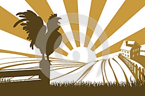 Silhouette cockerel crowing on farm photo