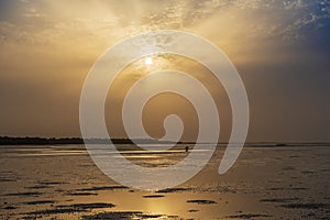 Silhouette of a cockle catcher at the beach in the island of Orango at sunset, in Guinea Bissau. Orango is part of the Bijagos Arc