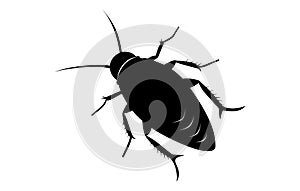 Silhouette of a cockroach isolated on white backdrop. Black cockroach vector illustration. Concept of pest control