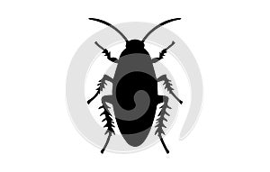 Silhouette of a cockroach on white backdrop. Black cockroach vector illustration. Concept of pest control, infestation