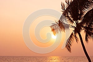 Silhouette coconut palm tree on sea and sunset sky background