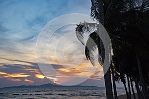 Silhouette coconut palm tree sunset ocean on the tropical beach sea summer orange blue sky