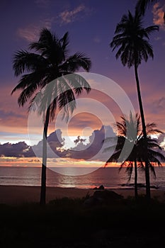 Silhouette of coconut palm trees and sunset