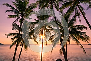 Silhouette coconut palm trees at sunset or sunrise sky over sea Amazing light nature colorful landscape Beautiful light nature sky