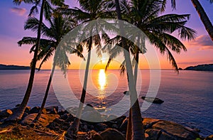 Silhouette coconut palm trees at sunset or sunrise sky over sea Amazing light nature colorful landscape Beautiful light nature sky