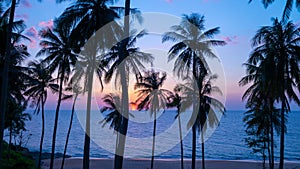 Silhouette coconut palm trees at sunset or sunrise sky over sea Amazing light nature colorful landscape Beautiful light nature sky