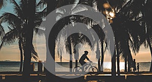 Silhouette of coconut tree and people Cyclist on the beach with sunset time.
