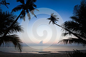 Silhouette of coconut tree slope down to the beach on sunrise ba