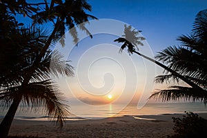 Silhouette of coconut tree slope down to the beach on sunrise background, Chumporn province