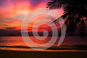 Silhouette of coconut tree , Twilight background