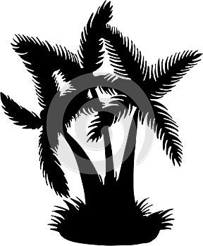 Silhouette Coconut Tree Vector