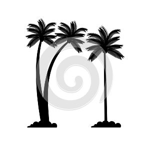 Silhouette coconut trees design illustration