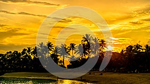 Silhouette of coconut Trees during sunset at Siloso Beach, Sentosa Island, Singapore.