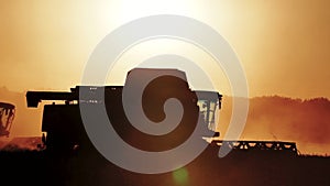 Silhouette of combines which harvesting wheat on the field on sunset