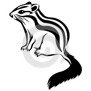 The silhouette, the contour of the rodent, the chipmunk painted black on a white background photo