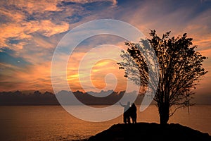 Silhouette couple holding hand