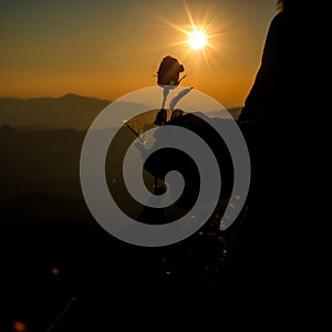 Silhouette of couple holding rose on hill