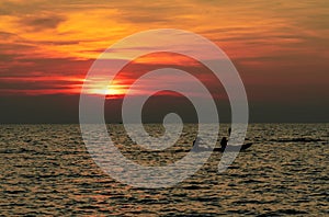 Silhouette of couple are kayaking in the sea at sunset. Kayak in the tropical sea at sunset. Romantic couple travel on summer