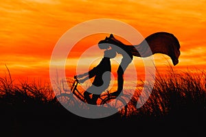 Silhouette couple kissing on bike