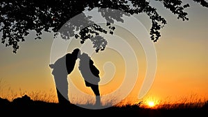 Silhouette couple kissing under a tree in sunset