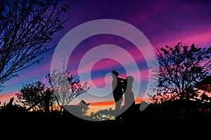 Silhouette Couple Man and Woman Cuddle with Happily among Beautiful Sunset Sky in Nature