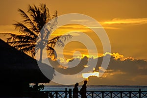 Silhouette of couple and palm tree with golden sunset.