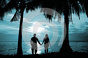 Silhouette couple stand hold hand in front of the sea