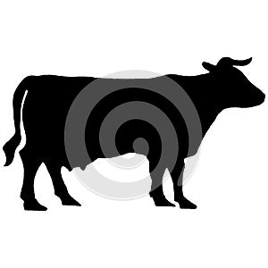Silhouette of a cow.