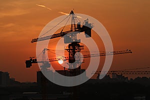 Silhouette of cranes against the sunset sky