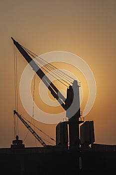 Silhouette cranes at sunrise in Chennai