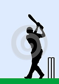 Silhouette of a Cricket Batsman